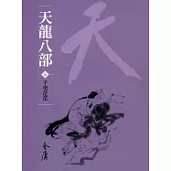 天龍八部5：千里茫茫 (遠流版金庸作品集45) (電子書)