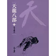 天龍八部6：金戈鏖兵 (遠流版金庸作品集46) (電子書)