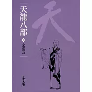 天龍八部8：小無相功 (遠流版金庸作品集48) (電子書)