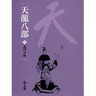 天龍八部9：會鬥少林 (遠流版金庸作品集49) (電子書)