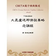 大毘盧遮那佛說要略念誦經 (電子書)