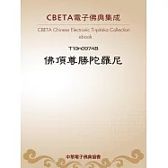 佛頂尊勝陀羅尼 (電子書)