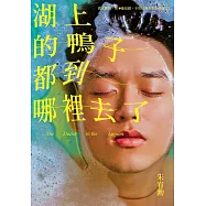 湖上的鴨子都到哪裡去了 (電子書)