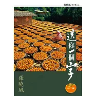 送你一個字 (電子書)