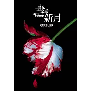 暮光之城：新月 (電子書)