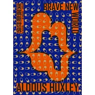 美麗新世界 (電子書)