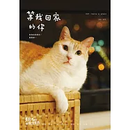 黃阿瑪的後宮生活：等我回家的你 (電子書)