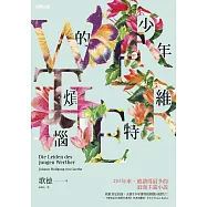 少年維特的煩惱 (電子書)
