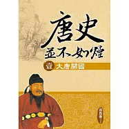 唐史並不如煙(壹)大唐開國 (電子書)