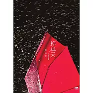 掉傘天 (電子書)