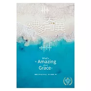 恩典多奇異 (電子書)