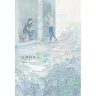 折射的寶石Labradorescence(全) (電子書)