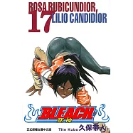 死神 (17) (電子書)