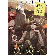 暗夜流光 (電子書)
