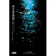 夜空穿透傷 (電子書)