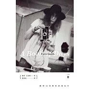 一日一日：佩蒂.史密斯的影像紀年 (電子書)