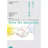 放不下，就握手言和吧：EQ始祖丹尼爾.高曼與措尼仁波切的冥想智慧 (電子書)