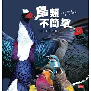 鳥類不簡單 (電子書)