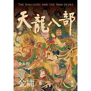 天龍八部(全五冊，亮彩映象修訂版) (電子書)