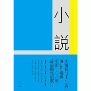 九歌108年小說選 (電子書)