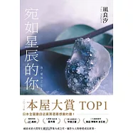 宛如星辰的你【2023年本屋大賞TOP1】(璀璨如星版書封) (電子書)