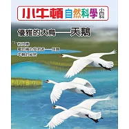 小牛頓自然科學小百科：優雅的大鳥--天鵝 (電子書)