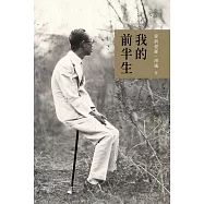 我的前半生 (電子書)