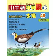 小牛頓科學讚：菱角田的凌波仙子--水雉 (電子書)