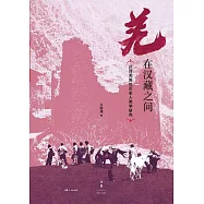 羌在漢藏之間：川西羌族的歷史人類學研究 (電子書)