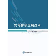 實用體積壓裂技術 (電子書)