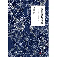 我傷感的青春 (電子書)