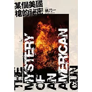 某個美國槍的祕密 (電子書)