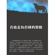 谷底走向谷峰的策略 (電子書)