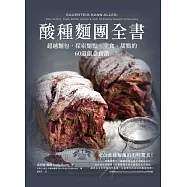 酸種麵團全書 超越麵包，探索麵點、主食、甜點的60道創意食譜 (電子書)