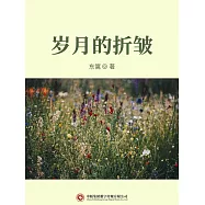 歲月的折皺 (電子書)
