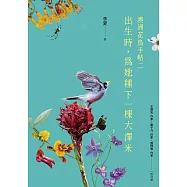 出生時，為她種下一棵大澤米：澳洲花鳥手帖之二 (電子書)