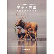 生靈&middot;奇境：中國鹽城黃海濕地(簡體書) (電子書) (電子書)