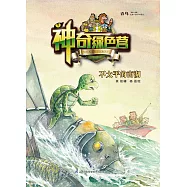 神奇綠色營：不太平的南湖(簡體書) (電子書) (電子書)