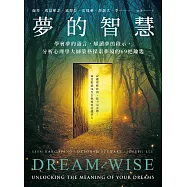 夢的智慧：學會夢的語言，解讀夢的啟示，分析心理學大師榮格探索夢境的69把鑰匙 (電子書)