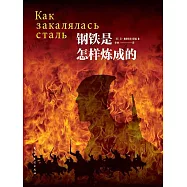 鋼鐵是怎樣煉成的 (電子書)