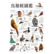 鳥類輕圖鑑 (電子書)