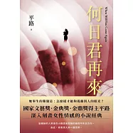何日君再來 (電子書)