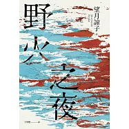 野火之夜(以故事的微光照亮時代的裂縫，一部映照出你價值觀的社會派推理鉅作!) (電子書)