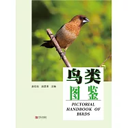 鳥類圖鑒 (電子書)