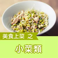 美食上菜之小菜類 (有聲書)
