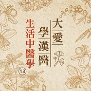 生活中醫學(大愛學漢醫)第13冊 (有聲書)
