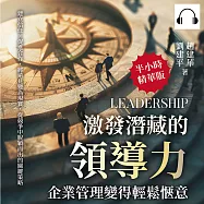 激發潛藏的領導力，企業管理變得輕鬆愜意：建立信任&times;促進合作，將遠見變為現實，從競爭中脫穎而出的關鍵策略 (有聲書)