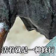 活著就是一種修行 (有聲書)