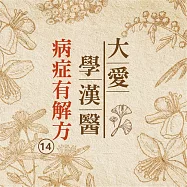 病症有解方(大愛學漢醫)第14冊 (有聲書)