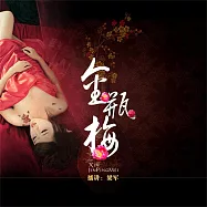 金瓶梅 (有聲書)